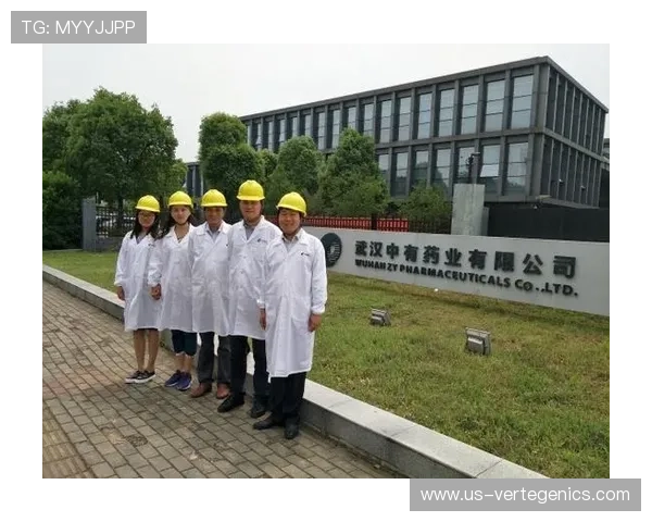 尊龙Z6中国区有限公司官方网站：详细了解公司企业文化与核心价值观