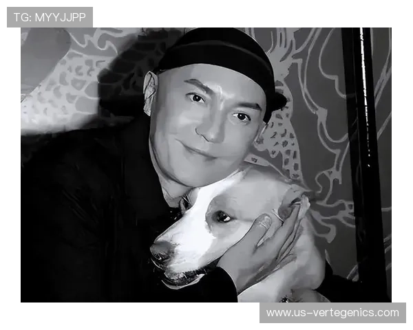 尊龙人生就是博官网登陆：尊龙官网登录入口更新公告与最新版本介绍